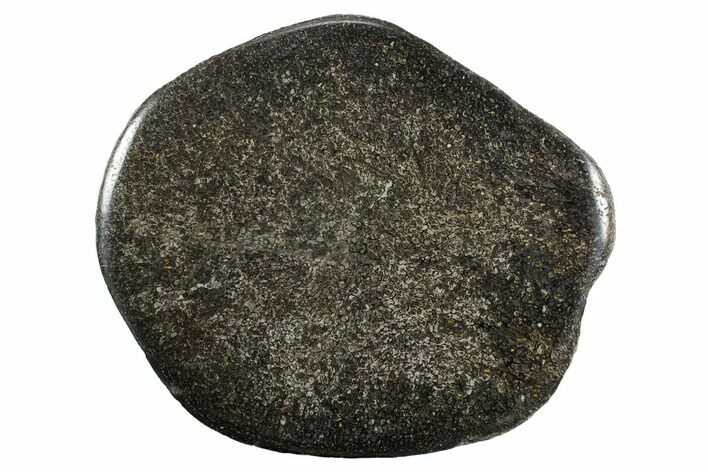 Polished Iguanodon Vertebra Slab - Isle Of Wight #352100